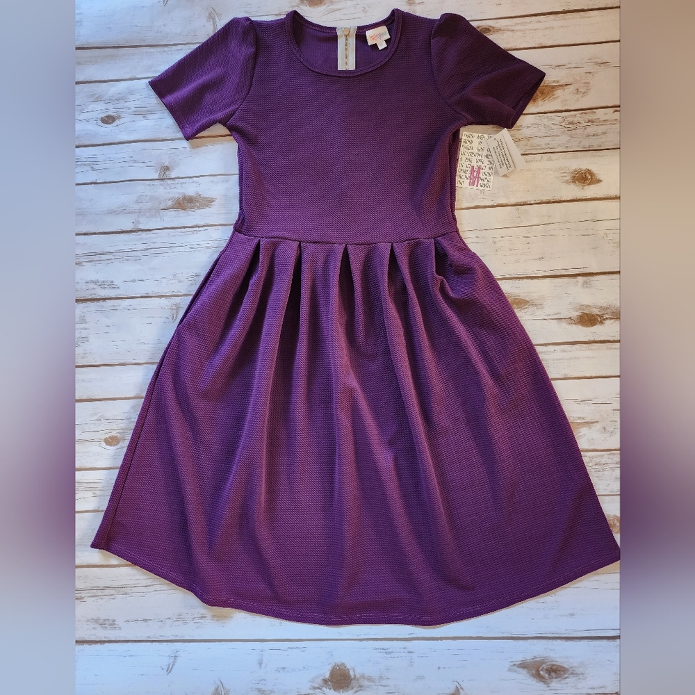 Brand New Amelia Dress